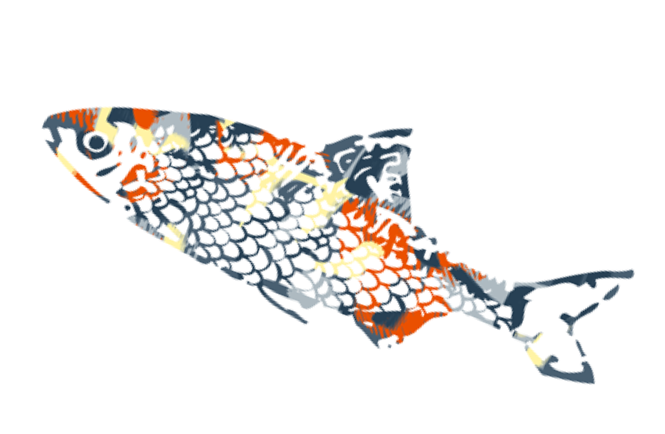 Illustration de poisson