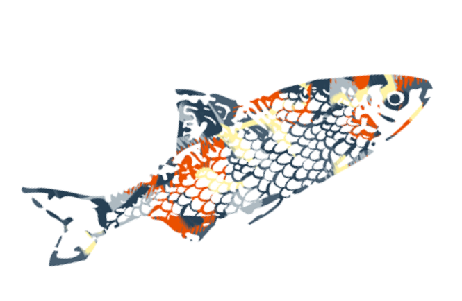Illustration de poisson