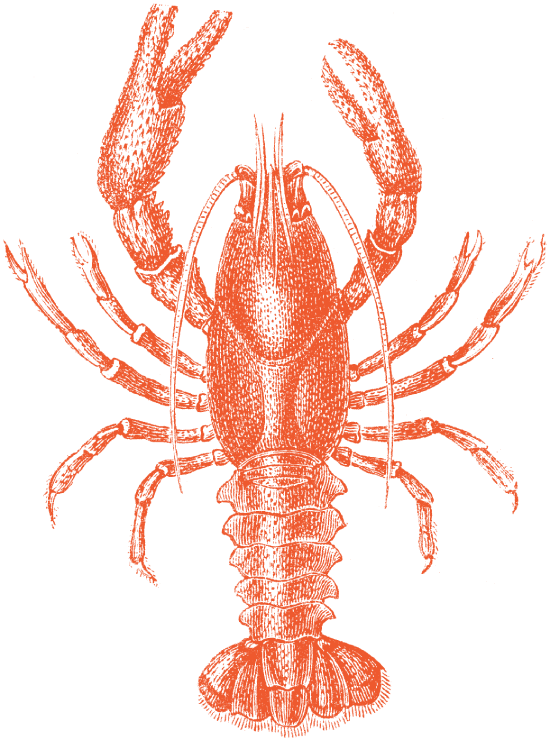 Homard