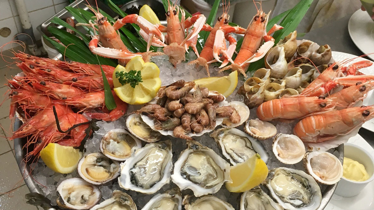 plateau fruits de mer avec du vin