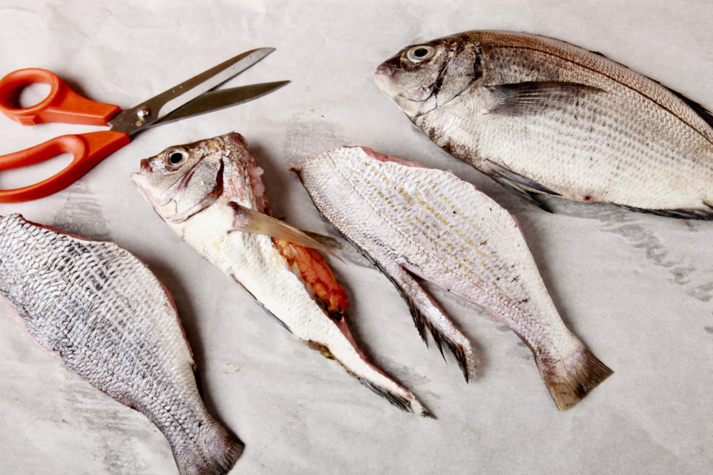 dorade en préparation