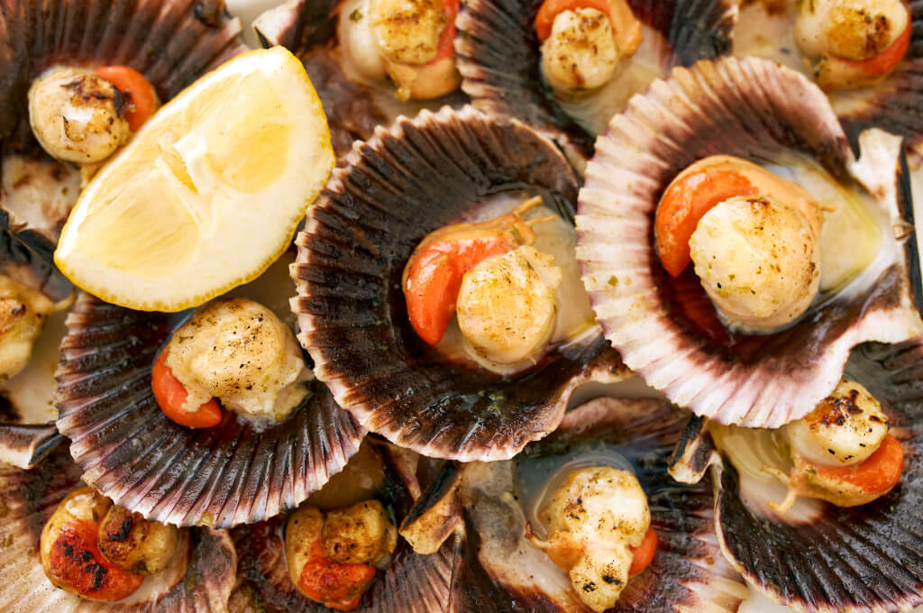 recettes de coquilles saint jacques le baligan