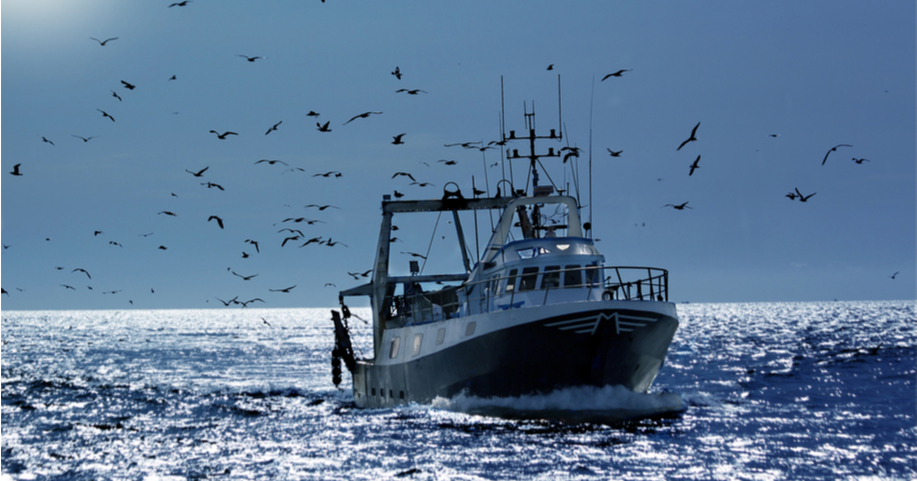 bateau pecheur sole