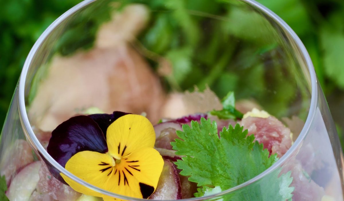ceviche thon mangue avocat