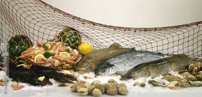 etal de poissonnier